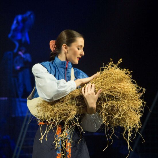 Sedmero krkavců | Městské divadlo Zlín